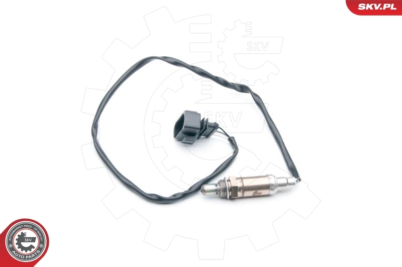Oxygen Sensor